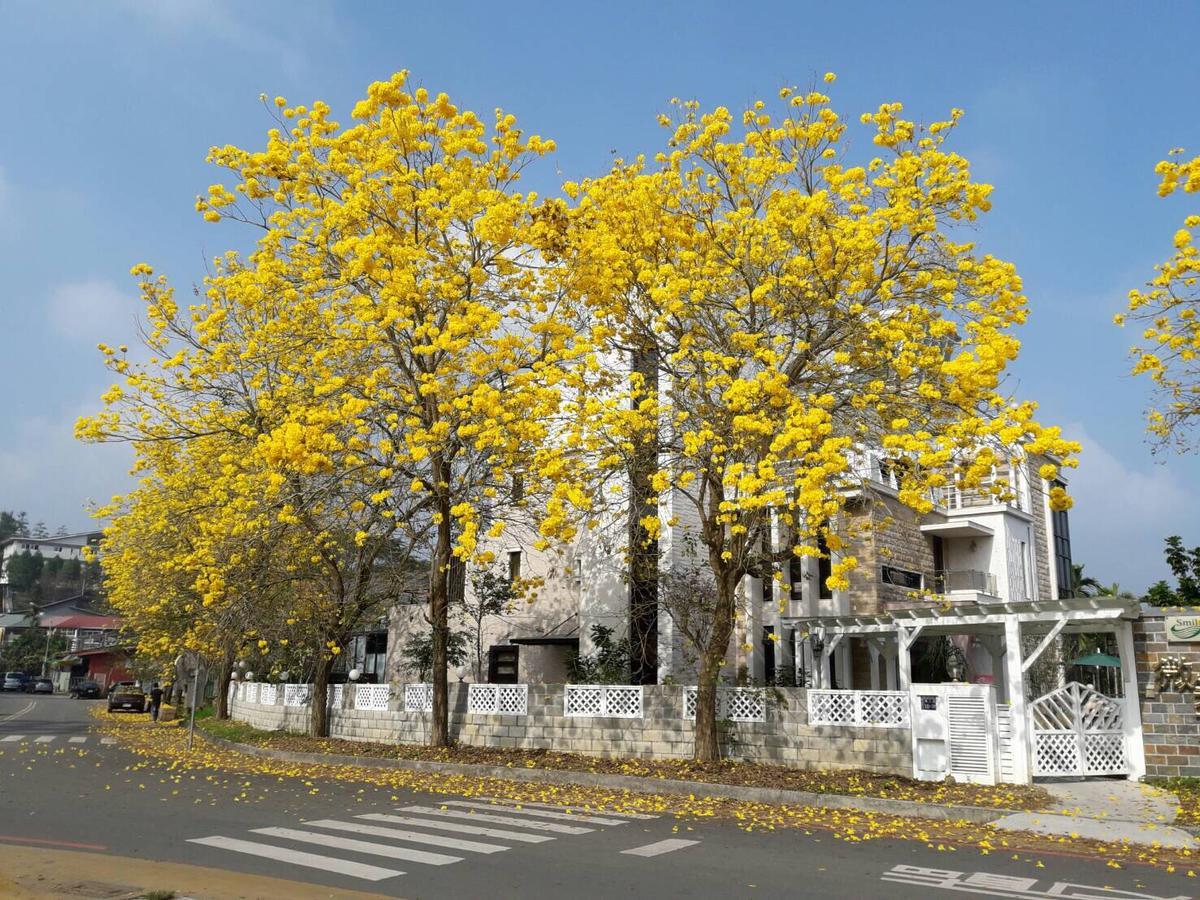 Smile Ark Homestay Nantou Exterior photo